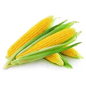 Yellow Corn - Khmer Organic