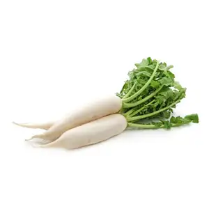 Chinese Radish - Khmer Organic