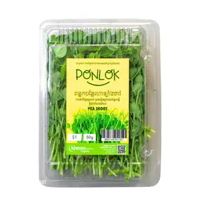 Micogreen Pea Shoot - Khmer Organic