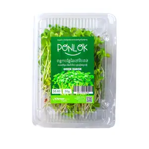 Micogreen Green Radish - Khmer Organic