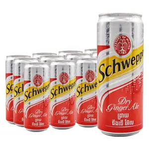 Ginger Ale Can Pack X12 - Schweppes