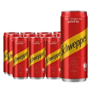 Ginger Ale Can Pack X12 - Schweppes
