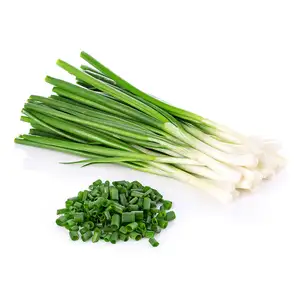 Spring Onion - Khmer Organic