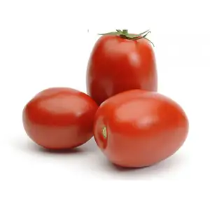 Tomato Nº1 - Khmer Organic
