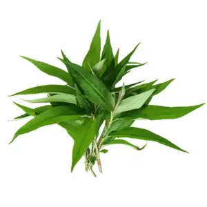 Laksa Leafs - Khmer Organic