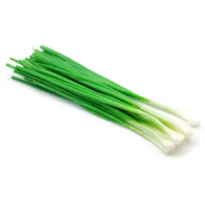 Spring Onion - Delishop Fresh