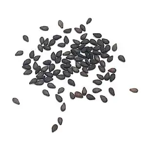 Black Sesame - Delishop Fresh