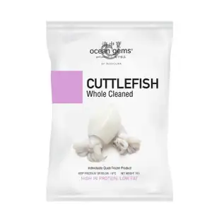 Whole Cleaned Cuttlefish 40-60 - Ocean Gems