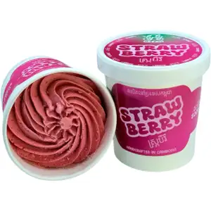 Strawberry Sorbet Pint - Lyly Cream