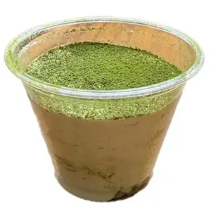 Matcha Tiramisu - Eric Kayser