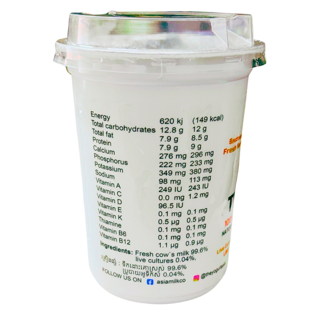 Unsweetened Plain Yogurt 2