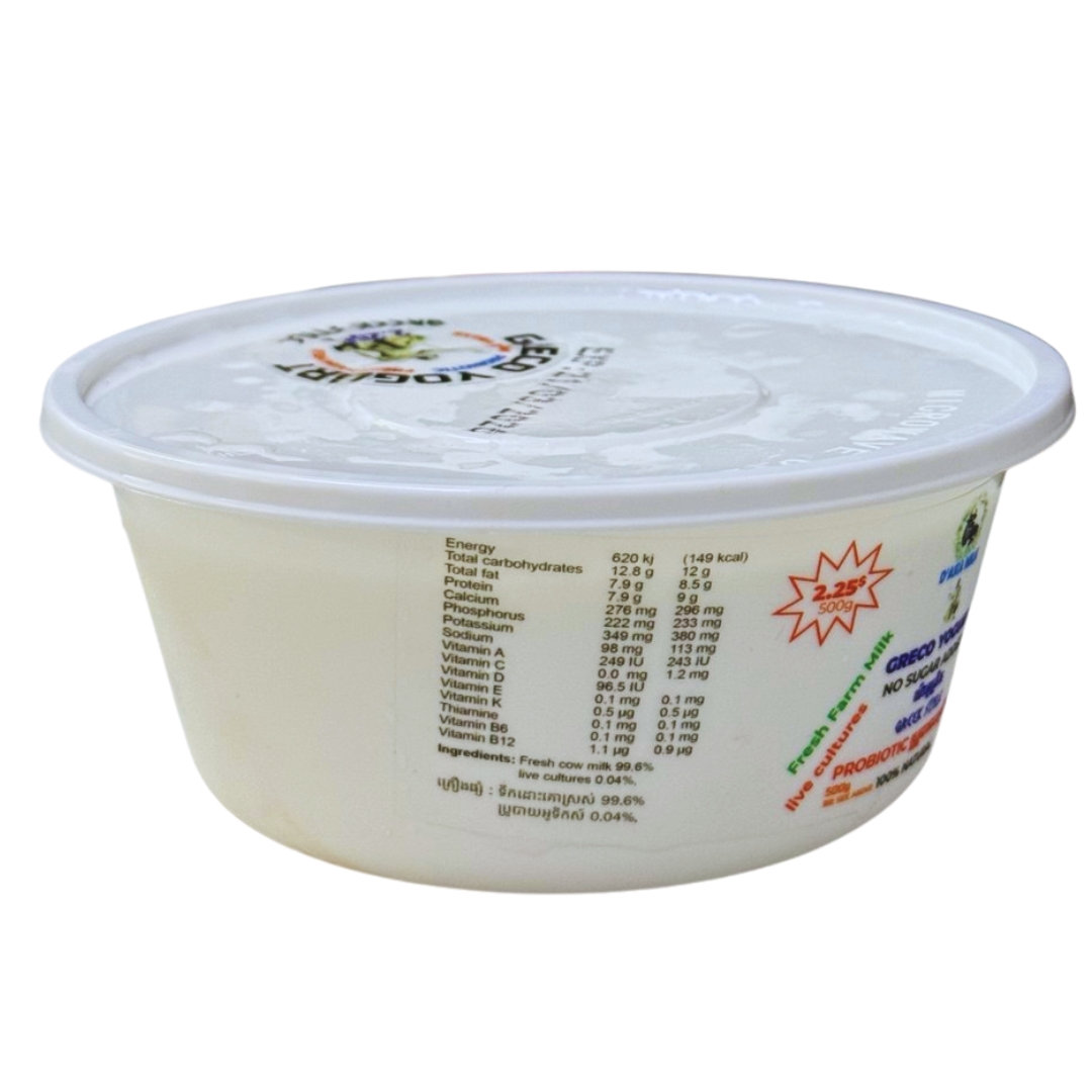 Plain Greek Style Yogurt 2