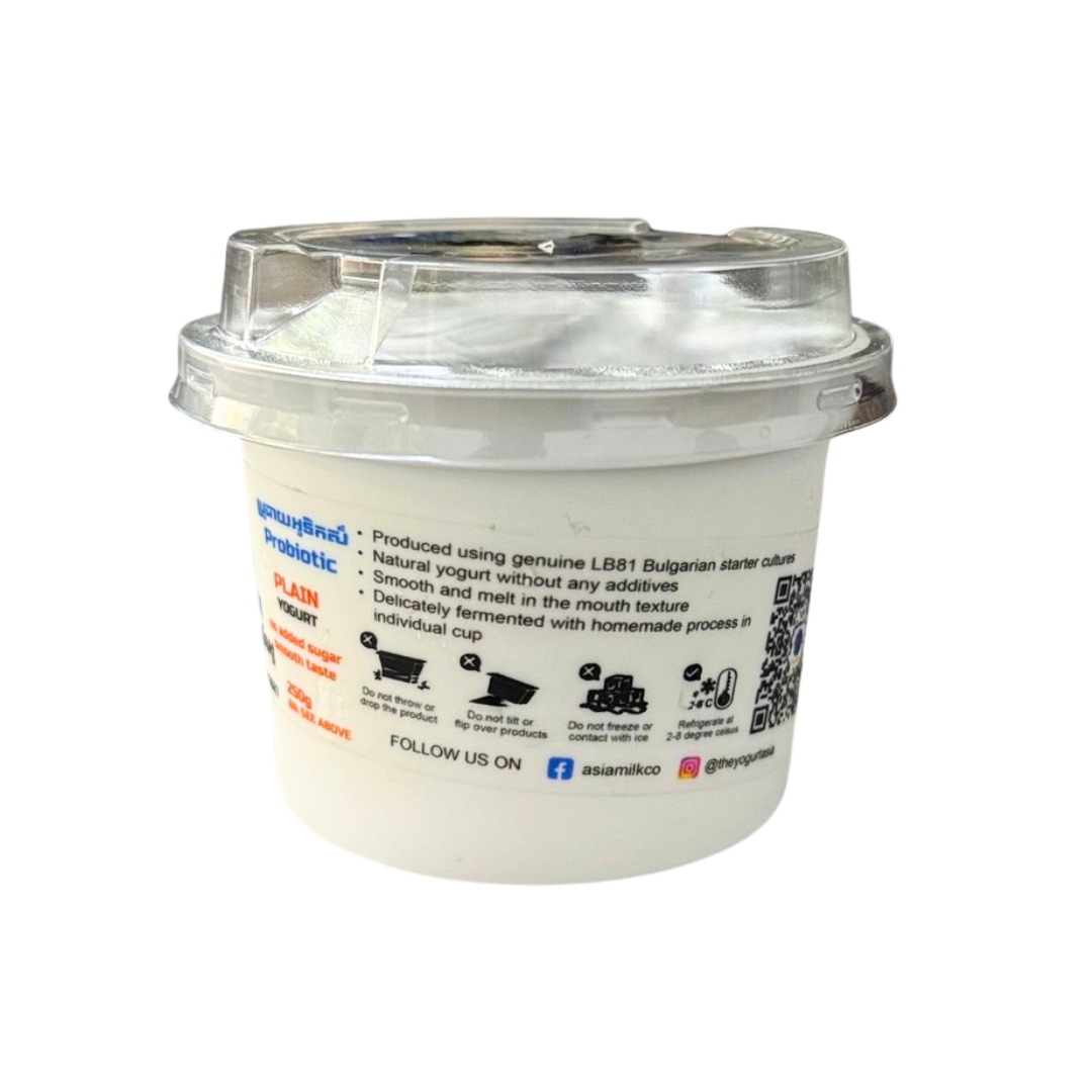 Unsweetened Plain Yogurt 2