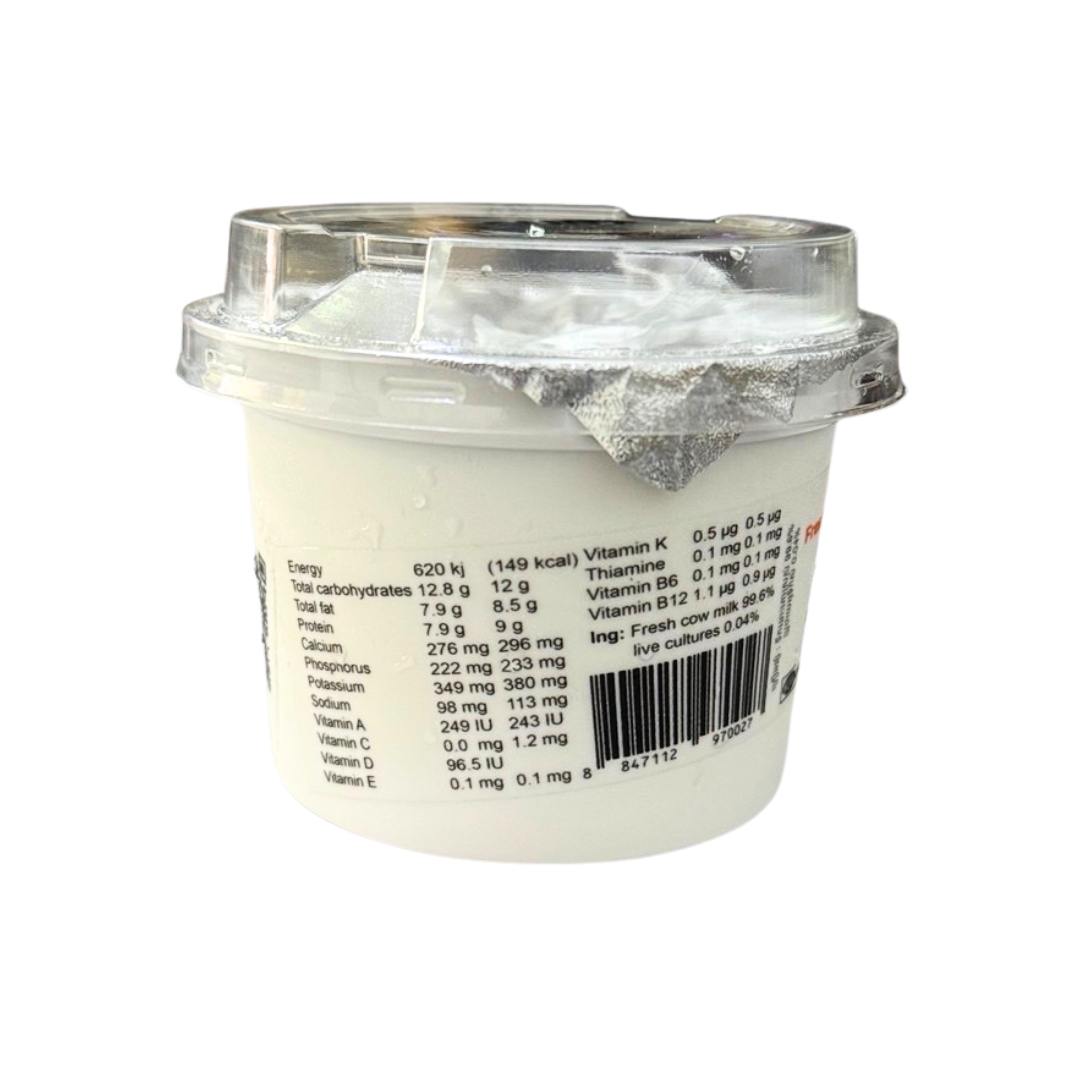 Unsweetened Plain Yogurt 3