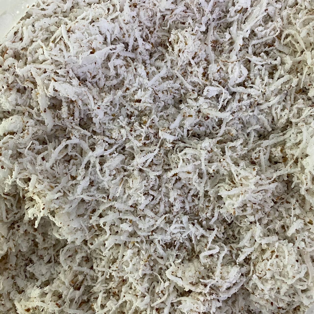 សាច់ដូងកោស 2